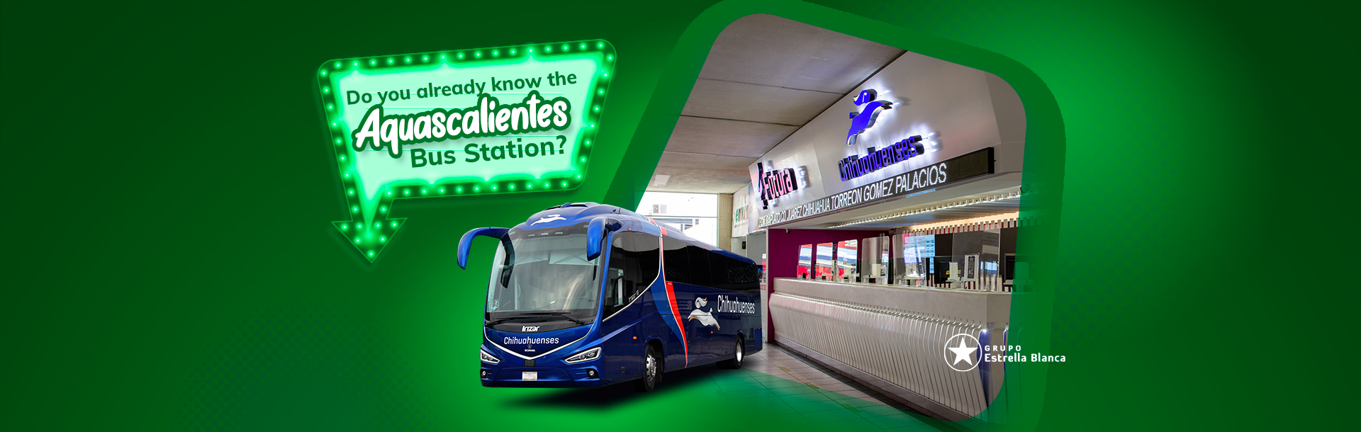 Autobuses Estrella Blanca | Compra tus boletos en línea
